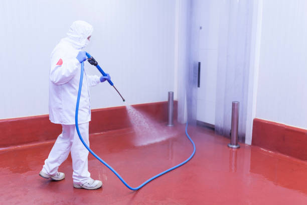 Best Building Exterior Washing  in Centerville, IA